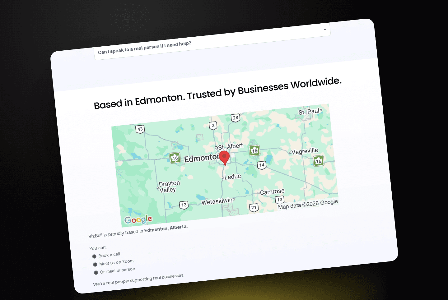 BizBull.ai website screenshot showing lead capture and AI human help positioning